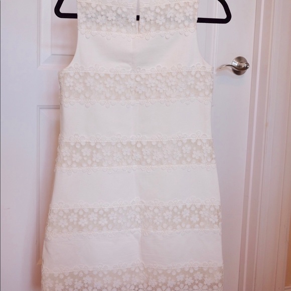 JCREW lace striped shift dress (white) - Picture 4 of 4